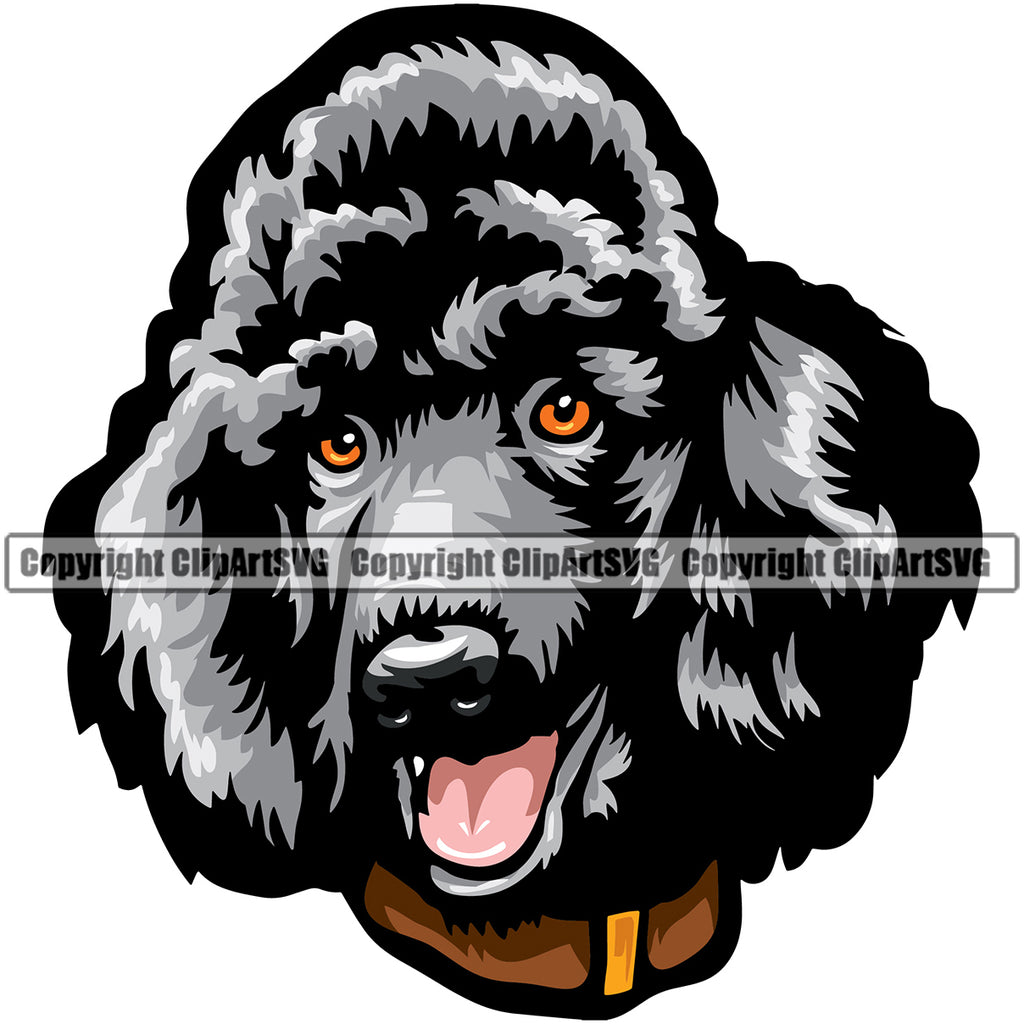 Poodle Dog Silver Color Head Design Element Animal Face Puppy Pup Head Purebred Pedigree Canine K-9 K9 Animal Portrait Doggy Vector Clipart SVG