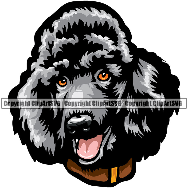 Poodle Dog Silver Color Head Design Element Animal Face Puppy Pup Head Purebred Pedigree Canine K-9 K9 Animal Portrait Doggy Vector Clipart SVG