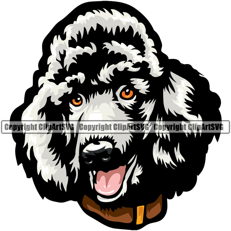 Poodle Dog White Color With Collar Design Element Puppy Pup Head Purebred Pedigree Canine K-9 K9 Animal Portrait Doggy Vector Clipart SVG