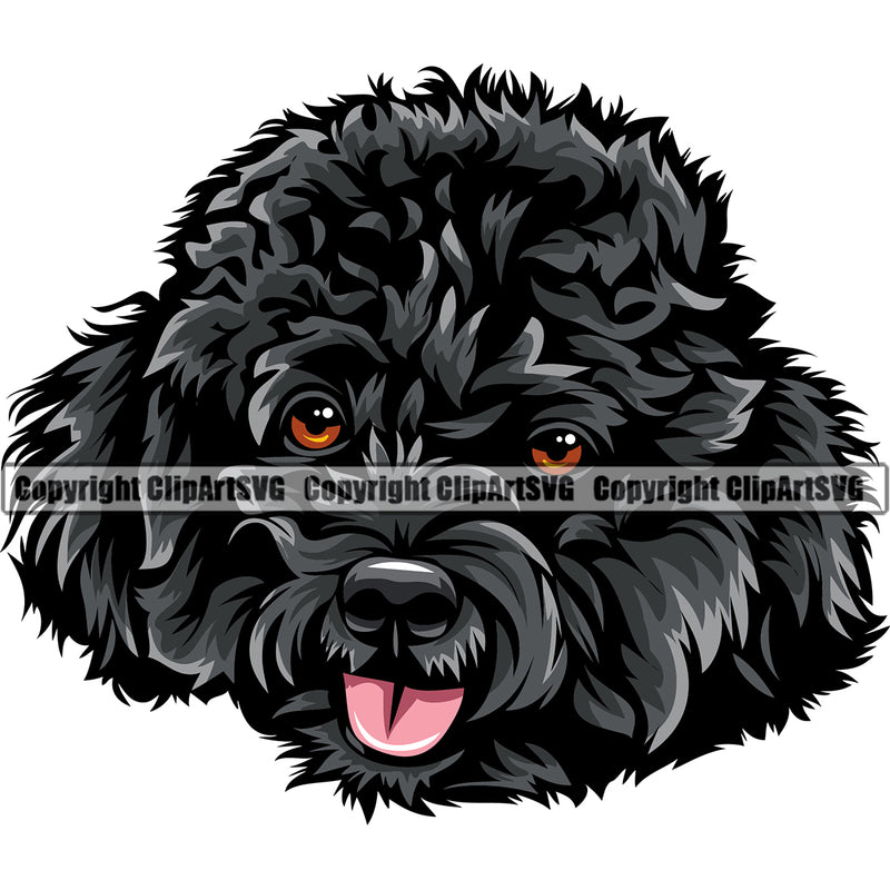 Poodle Black Color Smile Face Dog Design Element Puppy Pup Head Purebred Pedigree Canine K-9 K9 Animal Portrait Doggy Face Cute Vector Clipart SVG