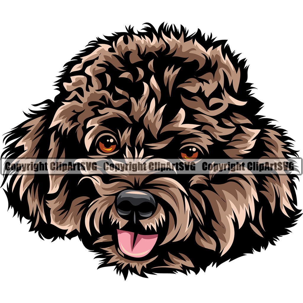 Poodle Dog Brown Color Head Design Element Puppy Pup Head Purebred Pedigree Canine K-9 K9 Animal Portrait Doggy Happy Face Vector Clipart SVG
