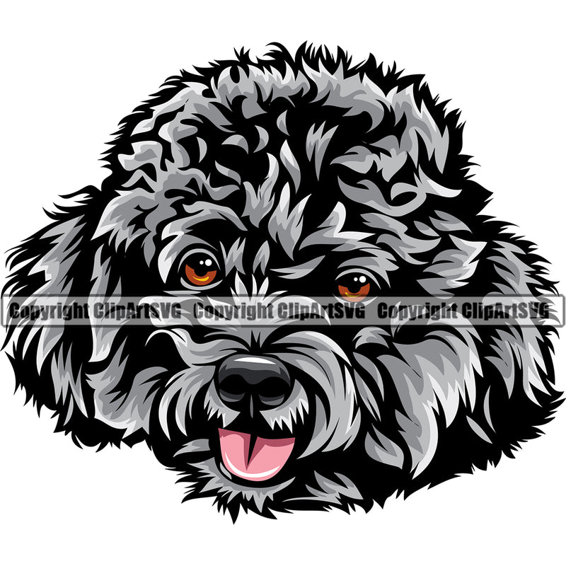 Poodle Dog Smile Face Design Silver Color Puppy Pup Head Purebred Canine K-9 K9 Animal Portrait Doggy Vector Pedigree Clipart SVG