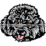 Poodle Dog Smile Face Design Silver Color Puppy Pup Head Purebred Canine K-9 K9 Animal Portrait Doggy Vector Pedigree Clipart SVG