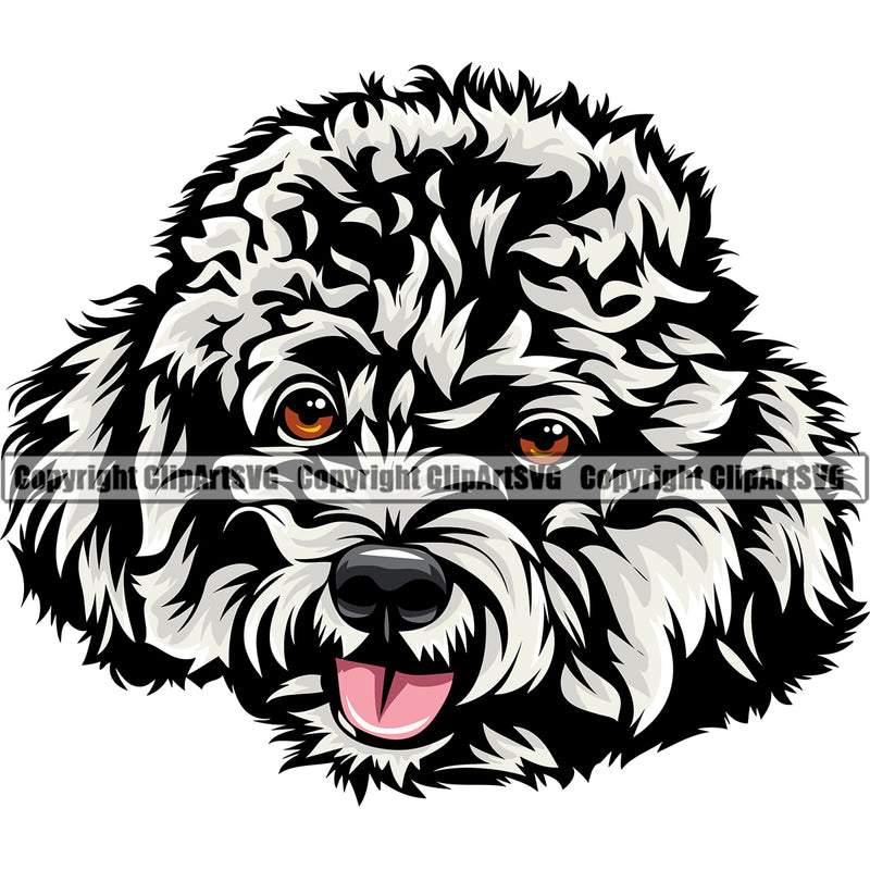 Poodle Dog White Color Design Element Smile Face Animal Puppy Pup Head Purebred Pedigree Canine K-9 K9 Animal Portrait Doggy Clipart SVG