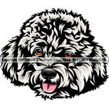 Poodle Dog White Color Design Element Smile Face Animal Puppy Pup Head Purebred Pedigree Canine K-9 K9 Animal Portrait Doggy Clipart SVG