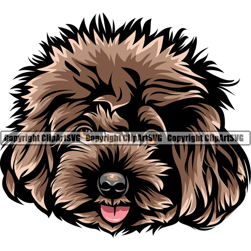 Poodle Dog Animal Head Design Brown Color Puppy Pup Head Purebred Pedigree Canine K-9 K9 Portrait Doggy Face Cute Body Vector Clipart SVG