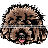 Poodle Dog Animal Head Design Brown Color Puppy Pup Head Purebred Pedigree Canine K-9 K9 Portrait Doggy Face Cute Body Vector Clipart SVG