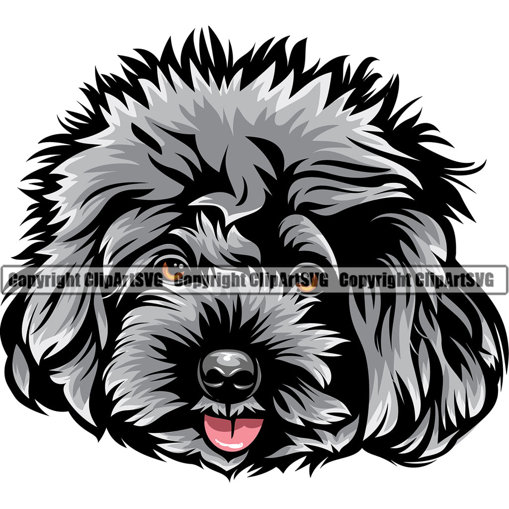 Poodle Dog Head Color Silver Design Element Puppy Pup Head Purebred Pedigree Canine K-9 K9 Portrait Doggy Face Cute Body Clipart SVG
