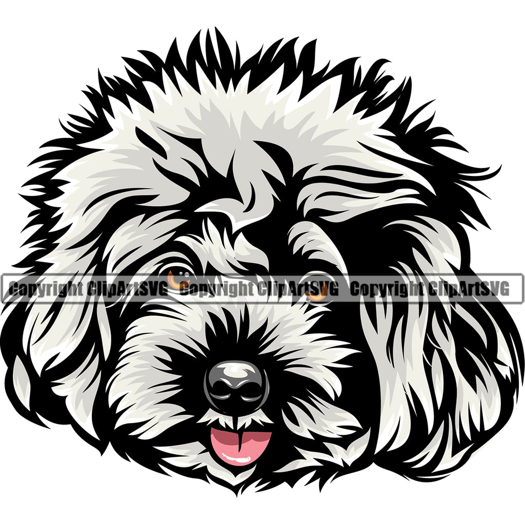 Poodle Dog Smile Face Design Element White Color Animal  Puppy Pup Head Purebred Pedigree Canine K-9 K9 Animal Portrait Doggy Face Cute Clipart SVG