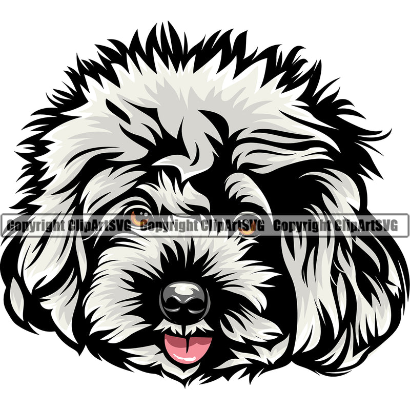 Poodle Dog Smile Face Design Element White Color Animal  Puppy Pup Head Purebred Pedigree Canine K-9 K9 Animal Portrait Doggy Face Cute Clipart SVG
