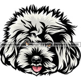 Poodle Dog Smile Face Design Element White Color Animal  Puppy Pup Head Purebred Pedigree Canine K-9 K9 Animal Portrait Doggy Face Cute Clipart SVG