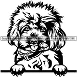 Poodle Dog Peeking Design Element  Puppy Pup Head Purebred Pedigree Canine K-9 K9 Animal Portrait Doggy Face Vector Clipart SVG
