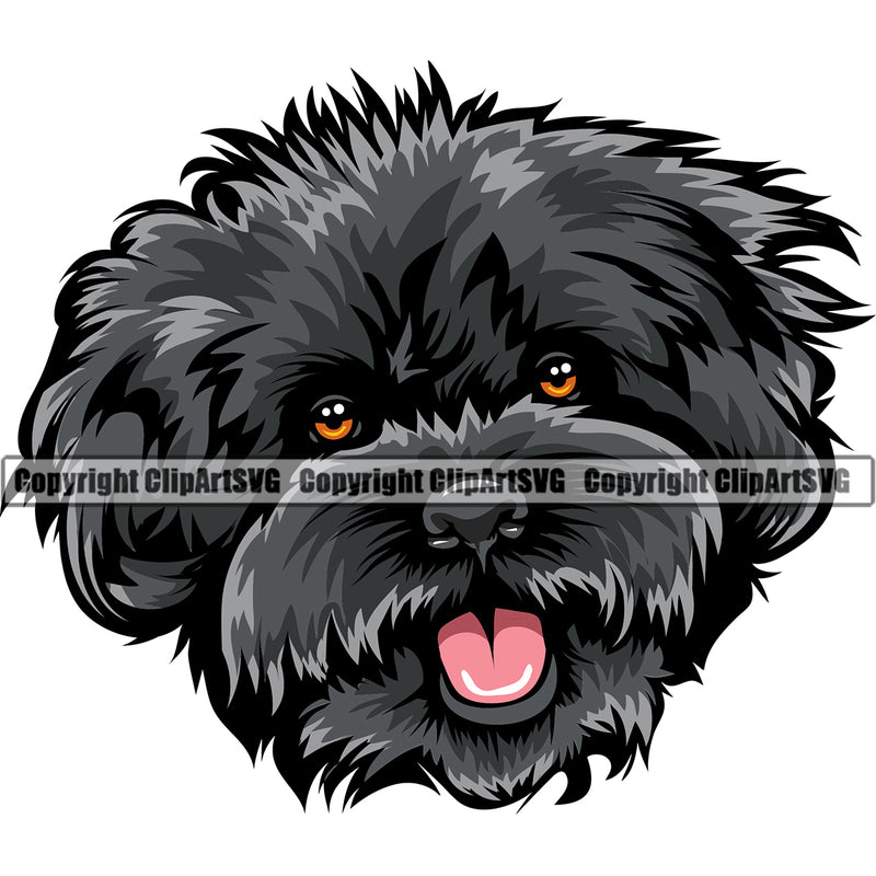 Poodle Dog Black Color Head Smile Face Puppy Pup Head Purebred Pedigree Canine K-9 K9 Animal Portrait Doggy Vector Clipart SVG