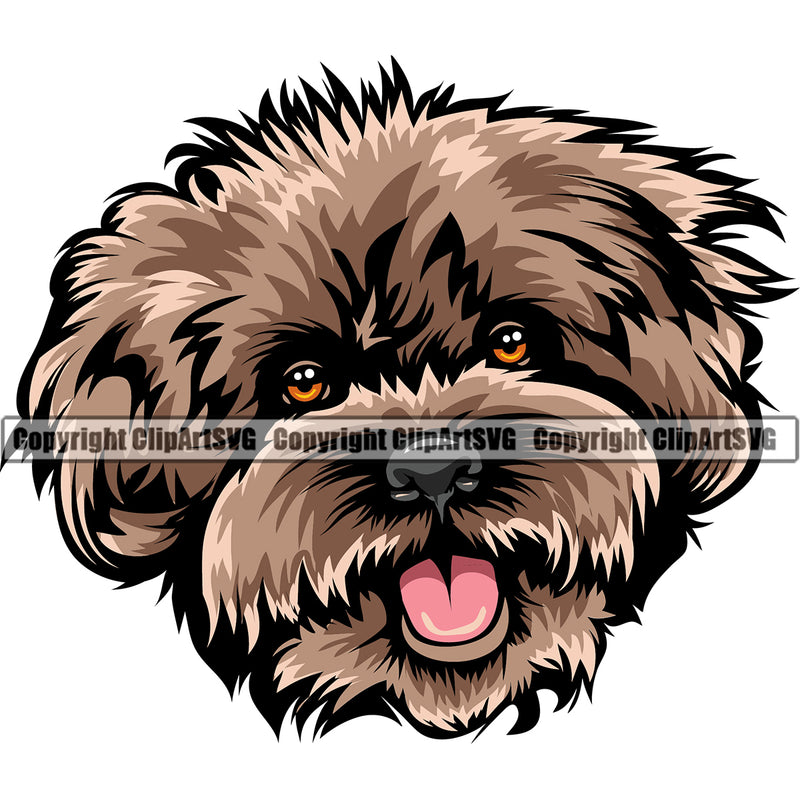 Poodle Brown Color Dog Design Element Puppy Pup Head Purebred Pedigree Canine K-9 K9 Animal Portrait Doggy Face Vector Clipart SVG