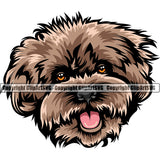 Poodle Brown Color Dog Design Element Puppy Pup Head Purebred Pedigree Canine K-9 K9 Animal Portrait Doggy Face Vector Clipart SVG