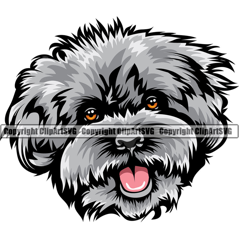 Poodle Silver Color Dog Design Element Puppy Pup Head Purebred Canine K-9 K9 Animal Portrait Doggy Face Vector Pedigree Clipart SVG