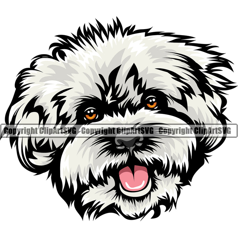 Poodle Dog White Color Design Element Puppy Pup Head Purebred Pedigree Canine K-9 K9 Animal Portrait Doggy Face Smile Vector Clipart SVG