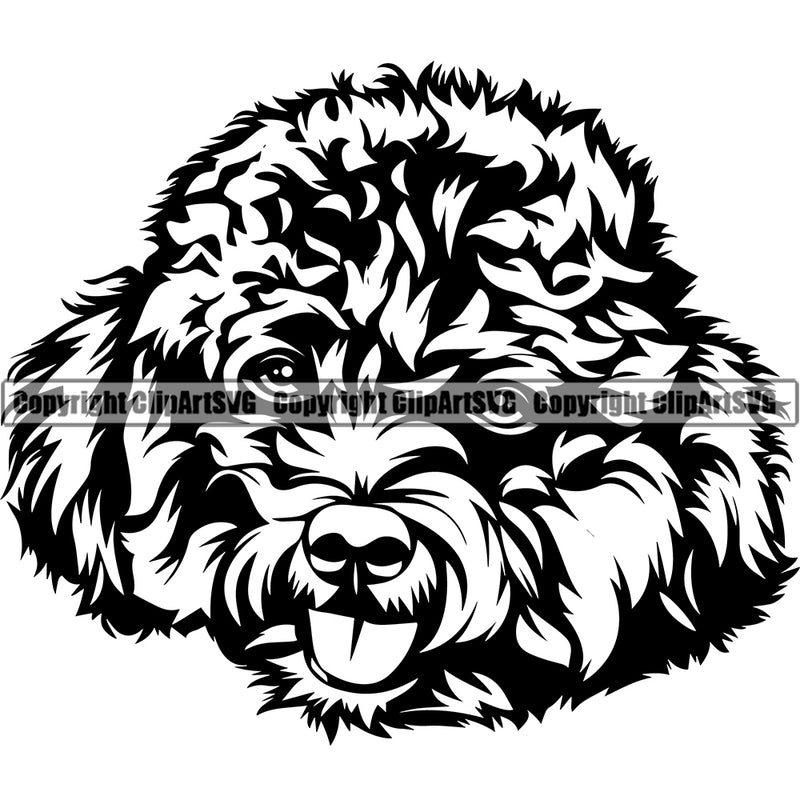 Poodle Dog Head Design Cute Face Animal Puppy Pup Head Purebred Pedigree Canine K-9 K9 Animal Portrait Doggy Vector Clipart SVG