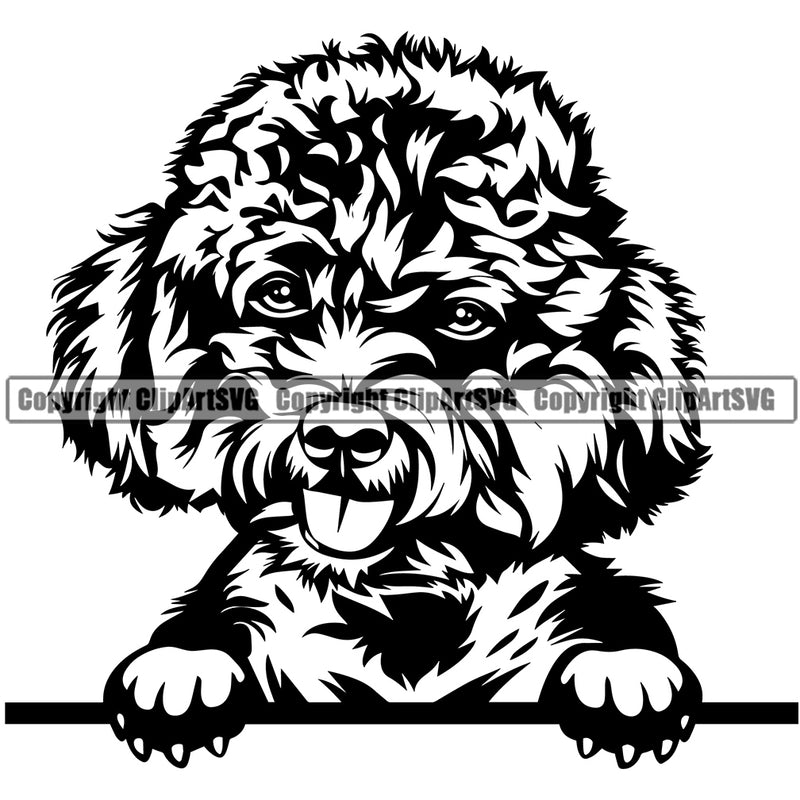 Poodle Dog Peeking Design Element Smile Face Puppy Pup Head Purebred Pedigree Canine K-9 K9 Animal Portrait Doggy Vector Clipart SVG