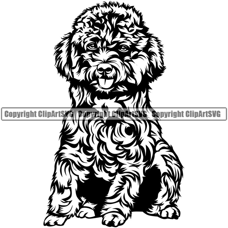 Poodle Dog Sitting Design Element Sitting Position Smile Face Puppy Pup Head Purebred Pedigree Canine K-9 K9 Animal Portrait Doggy Cute Vector Clipart SVG