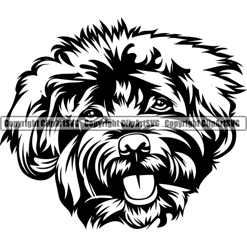 Poodle Dog Head Design Element Puppy Pup Head Purebred Pedigree Canine K-9 K9 Animal Portrait Doggy Face Vector Clipart SVG