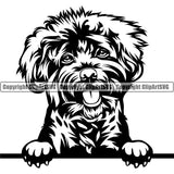 Poodle Dog Peeking Design Element Smile Face Puppy Pup Head Purebred Pedigree Canine K9 Animal Portrait Doggy Body Vector Clipart SVG