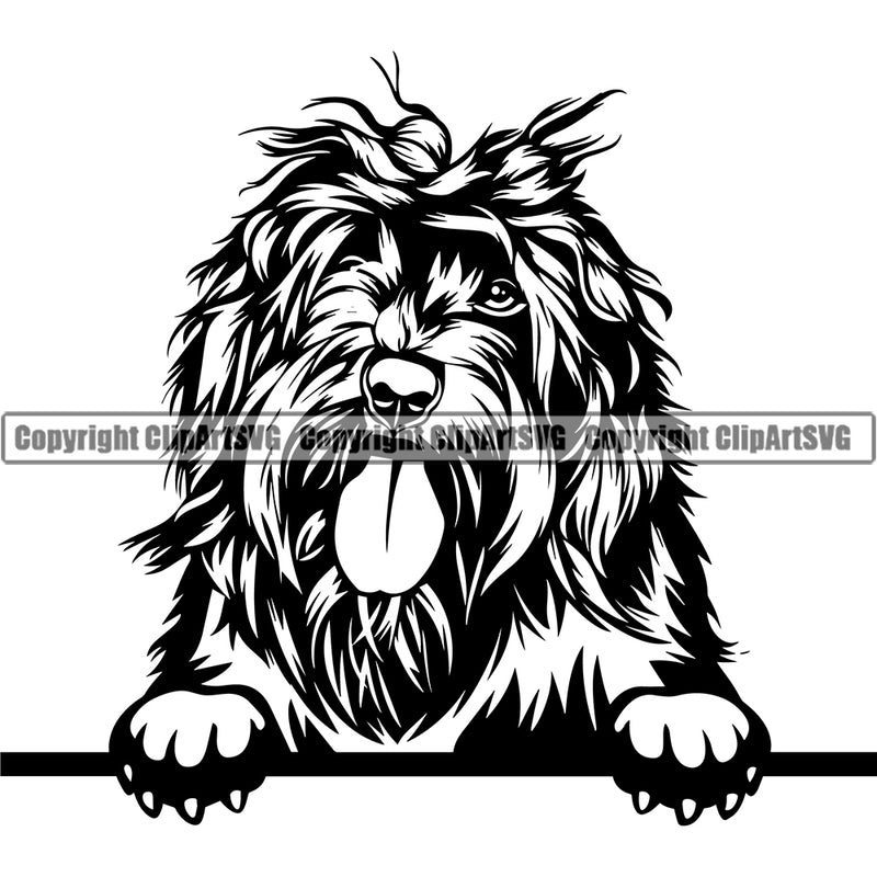 Portuguese Water Dog Head Design Face Smile Puppy Pup Head Purebred Pedigree Canine K-9 K9 Animal Portrait Doggy Face Vector Clipart SVG