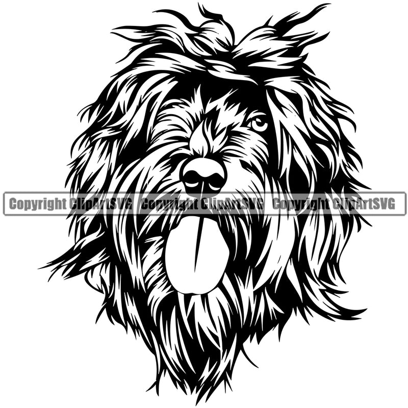 Portuguese Water Dog Head Design Animal Face Puppy Pup Head Purebred Pedigree Canine K-9 K9 Animal Portrait Doggy Face Cute Vector Clipart SVG