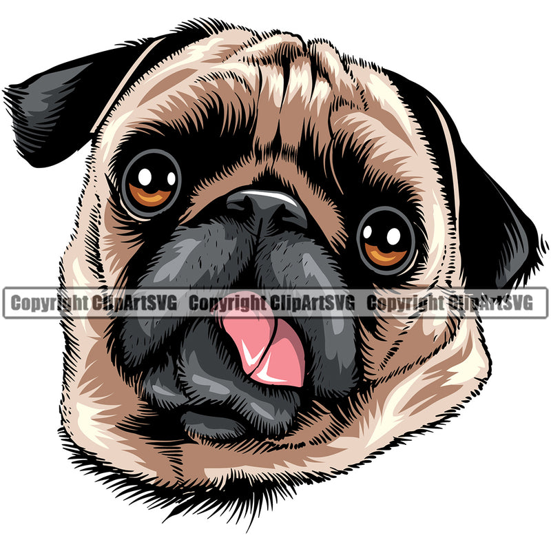 Pug Dog Color Head Design Element Funny Face Animal  Puppy Pup Head Purebred Pedigree Canine K-9 K9 Portrait Doggy Face Cute Vector Clipart SVG