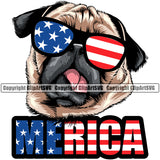 Pug Dog Wearing Sunglasses With Merica Color Text Design Element Puppy Pup Head Purebred Pedigree Canine K-9 K9 Animal Portrait Doggy Face Cute Vector Clipart SVG