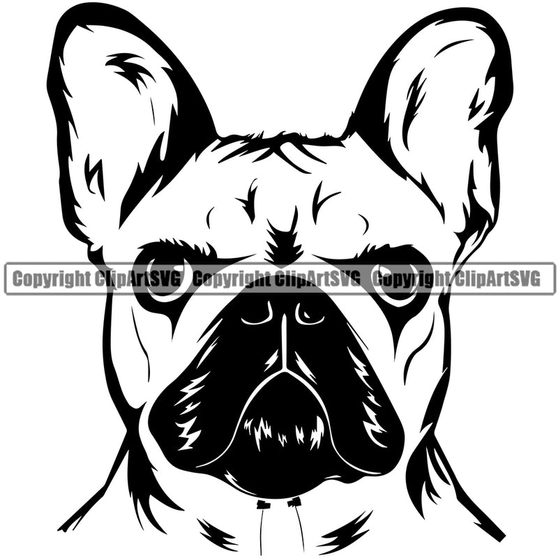 Pug Dog Head Design Element Puppy Pup Head Purebred Pedigree K-9 K9 Animal Portrait Doggy Face Cute Vector Clipart SVG