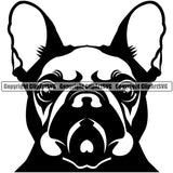 Pug Dog Head Design Element Puppy Pup Head Purebred Pedigree Canine K-9 K9 Animal Portrait Doggy Face Cute Vector Clipart SVG