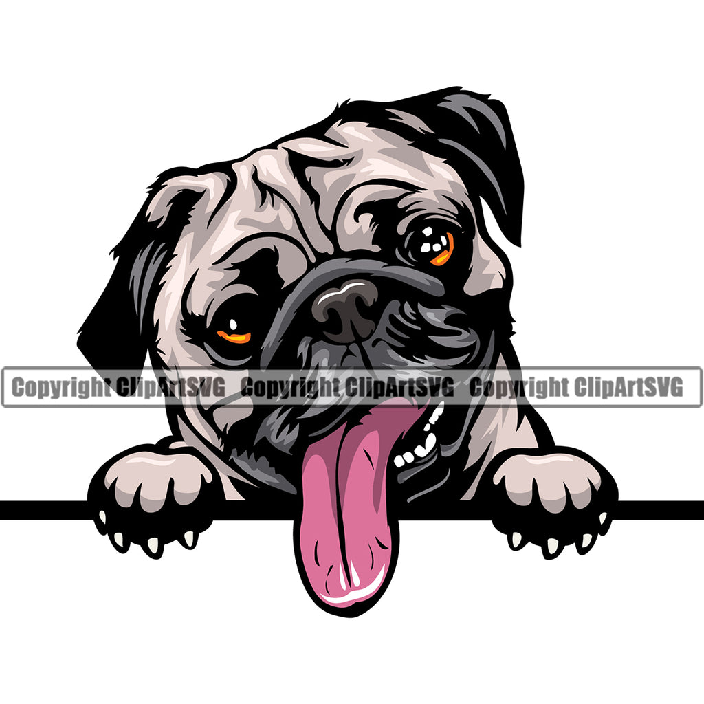 Pug Dog Peeking Head Design Cute Face Animal Puppy Pup Head Purebred Pedigree Canine K-9 K9 Portrait Doggy Vector Clipart SVG