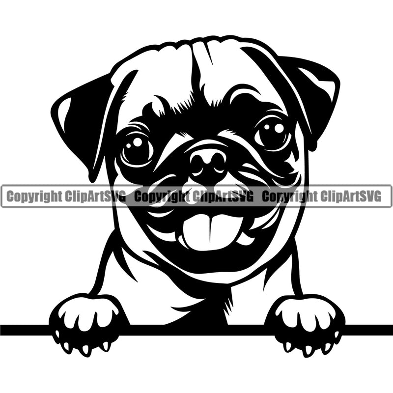 Pug Dog Peeking Design Element Vector Puppy Pup Head Purebred Canine K-9 K9 Animal Doggy Face Portrait Pedigree Clipart SVG