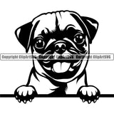 Pug Dog Peeking Design Element Vector Puppy Pup Head Purebred Canine K-9 K9 Animal Doggy Face Portrait Pedigree Clipart SVG