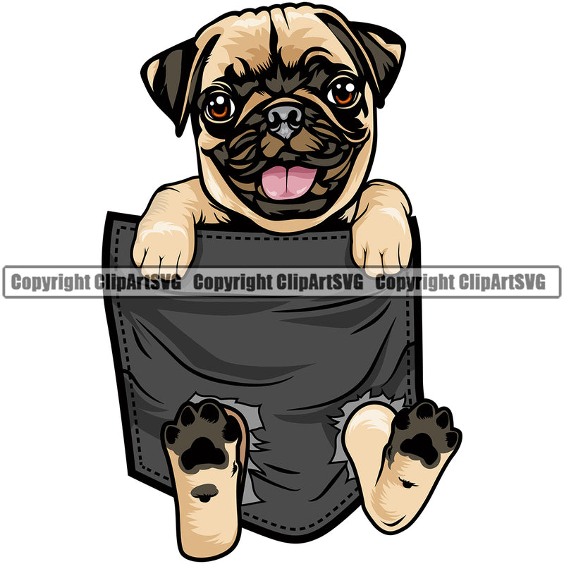 Pug Dog Hanging From Shirt Pocket Color Head Design Element Tshirt T-Shirt Puppy Pup Head Purebred Pedigree Canine K-9 K9 Animal Portrait Doggy Body Vector Clipart SVG