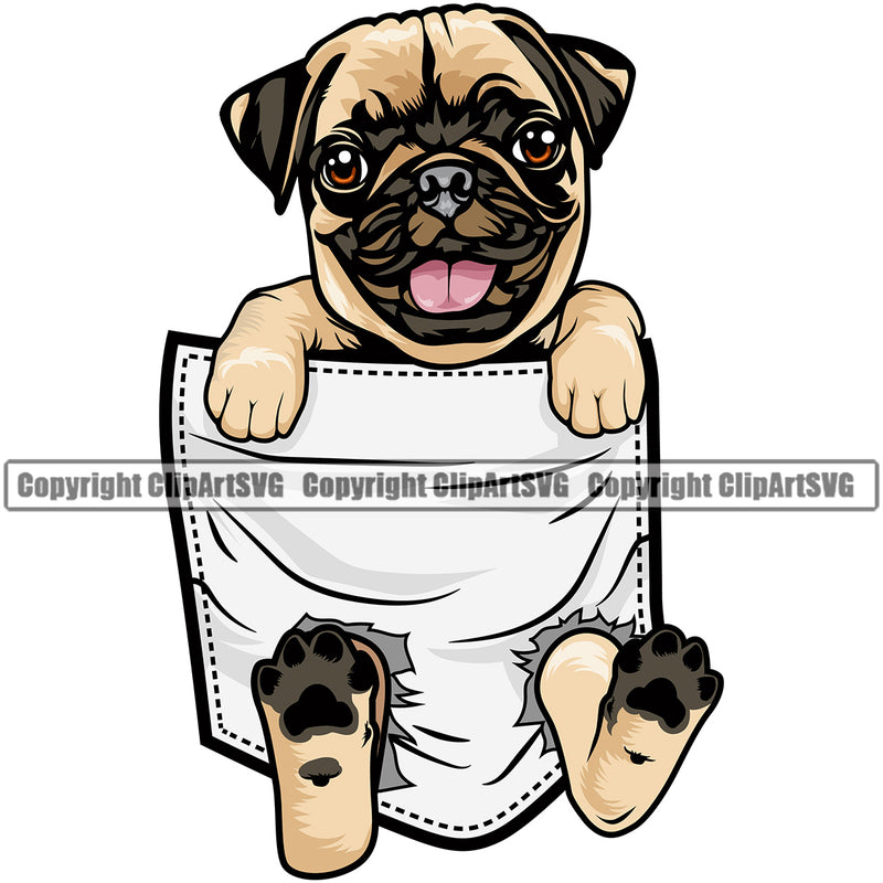 Pug Dog Hanging From Shirt Pocket Tshirt T-Shirt Animal Color Body Design Element Puppy Pup Head Purebred Pedigree Canine K9 Animal Portrait Doggy Face Vector Clipart SVG
