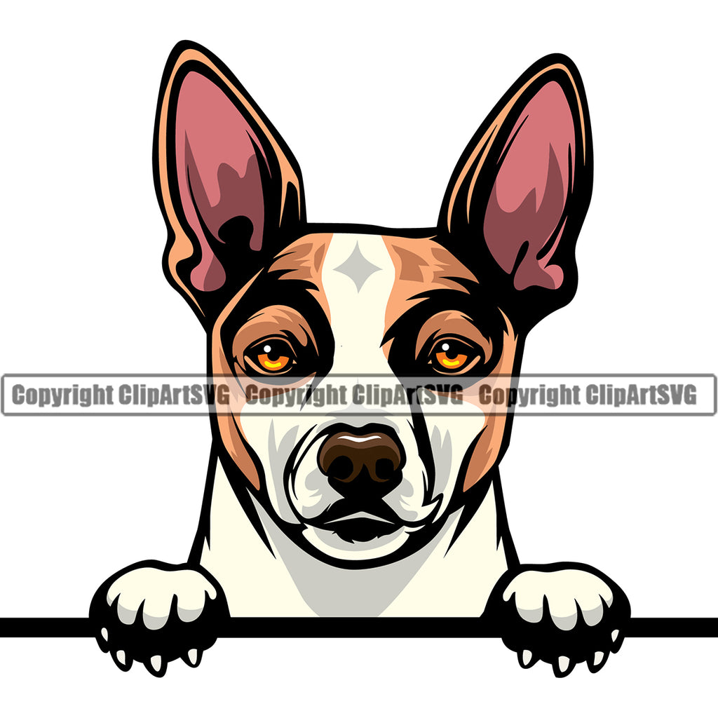 Rat Terrier Dog Peeking Design Color Head Animal Face Puppy Pup Head Purebred Pedigree Canine K-9 K9 Animal Portrait Doggy Vector Clipart SVG
