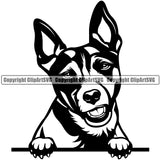 Rat Terrier Dog Smile Face Design Peeking Position Puppy Pup Head Purebred Pedigree Canine K-9 K9 Animal Portrait Doggy Face Cute Vector Clipart SVG