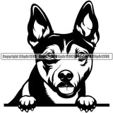 Rat Terrier Dog Peeking Smile Face Design Puppy Pup Head Purebred Canine K-9 K9 Animal Portrait Doggy Face Cute Vector Pedigree  Clipart SVG