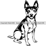 Rat Terrier Dog Sitting Position Smile Face Design Puppy Pup Head Purebred Pedigree Canine K-9 K9 Animal Portrait Doggy Face Cute Body Vector Clipart SVG