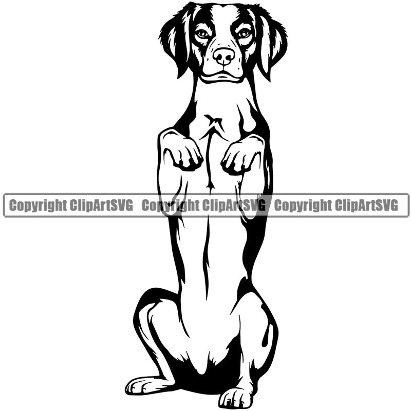 Rhodesian Ridgeback Dog Begging Smile Face Design Puppy Pup Head Purebred Pedigree Canine K-9 K9 Animal Portrait Doggy Face Cute Vector Clipart SVG