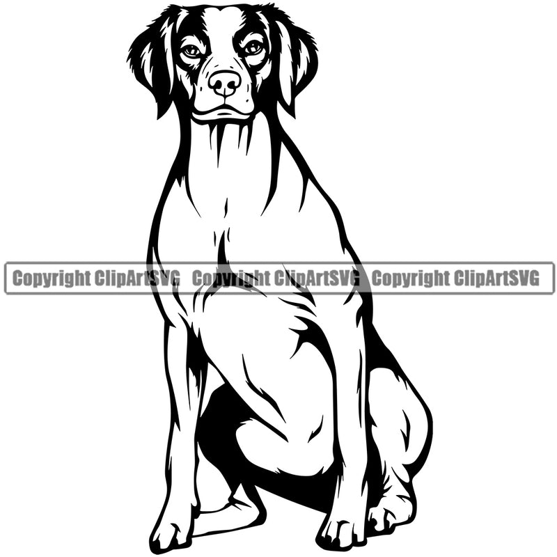 Rhodesian Ridgeback Dog Sitting Smile Face Design Puppy Pup Head Purebred Pedigree Canine K-9 K9 Animal Portrait Doggy Face Cute Vector Clipart SVG