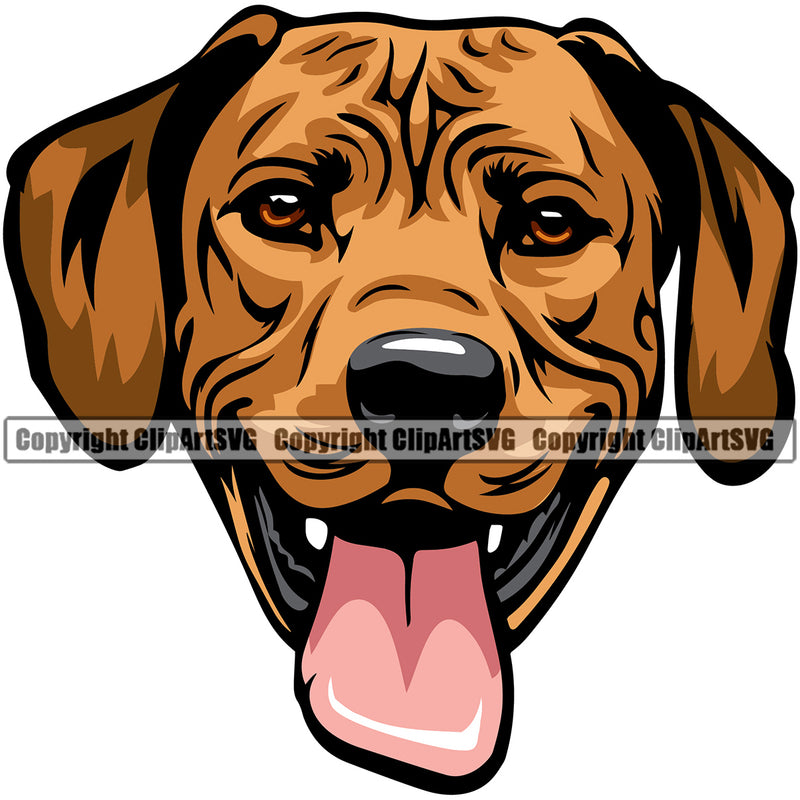 Rhodesian Ridgeback Dog Color Head Smile Face Design Puppy Pup Head Purebred Pedigree Canine K-9 K9 Animal Portrait Doggy Face Cute Vector Clipart SVG