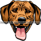 Rhodesian Ridgeback Dog Color Head Smile Face Design Puppy Pup Head Purebred Pedigree Canine K-9 K9 Animal Portrait Doggy Face Cute Vector Clipart SVG