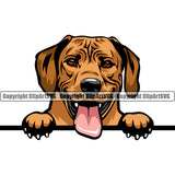 Rhodesian Ridgeback Dog Peeking Color Head Smile Face Design Puppy Pup Pedigree Canine K-9 K9 Animal Portrait Doggy Face Cute Vector Purebred Clipart SVG