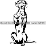 Rhodesian Ridgeback Dog Begging Smile Face Design Pedigree Canine K-9 K9 Animal Portrait Doggy Face Cute Puppy Pup Head Purebred Vector Clipart SVG