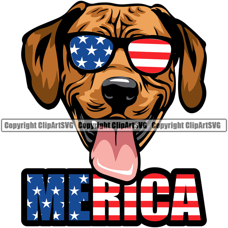Rhodesian Ridgeback Dog Wearing Sunglasses With Merica Color Text Smile Face Design Puppy Pup Head Purebred Pedigree Canine K-9 K9 Animal Portrait Doggy Face Cute Vector Clipart SVG
