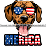 Rhodesian Ridgeback Dog Wearing Sunglasses With Merica Color Text Smile Face Design Puppy Pup Head Purebred Pedigree Canine K-9 K9 Animal Portrait Doggy Face Cute Vector Clipart SVG