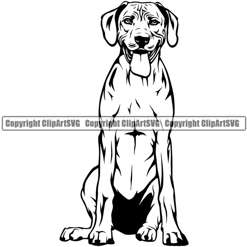 Rhodesian Ridgeback Dog Sitting Design Smile Face Design Puppy Pup Head Purebred Pedigree Canine K-9 K9 Animal Portrait Doggy Face Cute Vector Clipart SVG